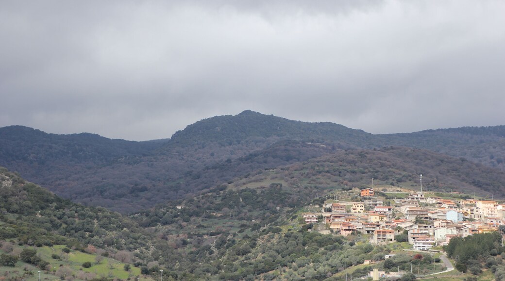 Lei, punta Sa Martigusa