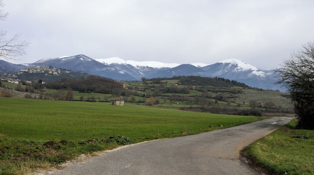 03010 Trivigliano, Province of Frosinone, Italy