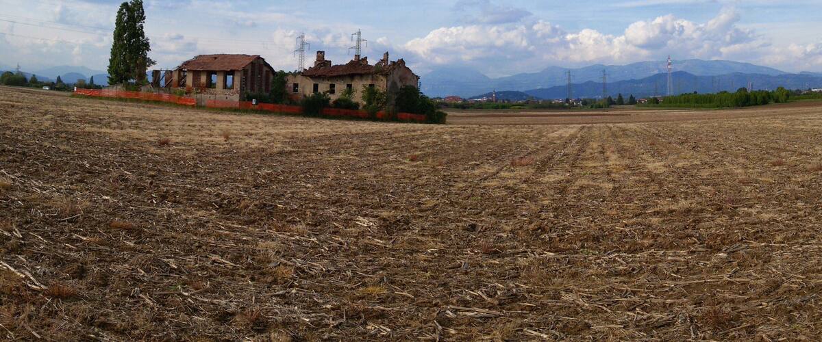 A rural landscape with a field, a dilapidated house, a tall tree, and distant mountains.