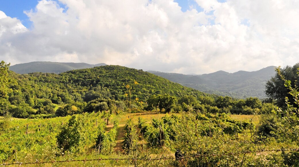 Bilder aus Italien 2015 es muss die Position noch bestimmt werden.