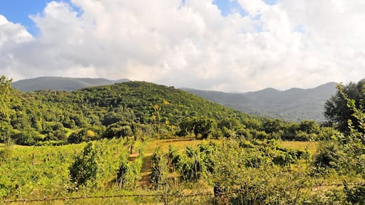 Bilder aus Italien 2015 es muss die Position noch bestimmt werden.