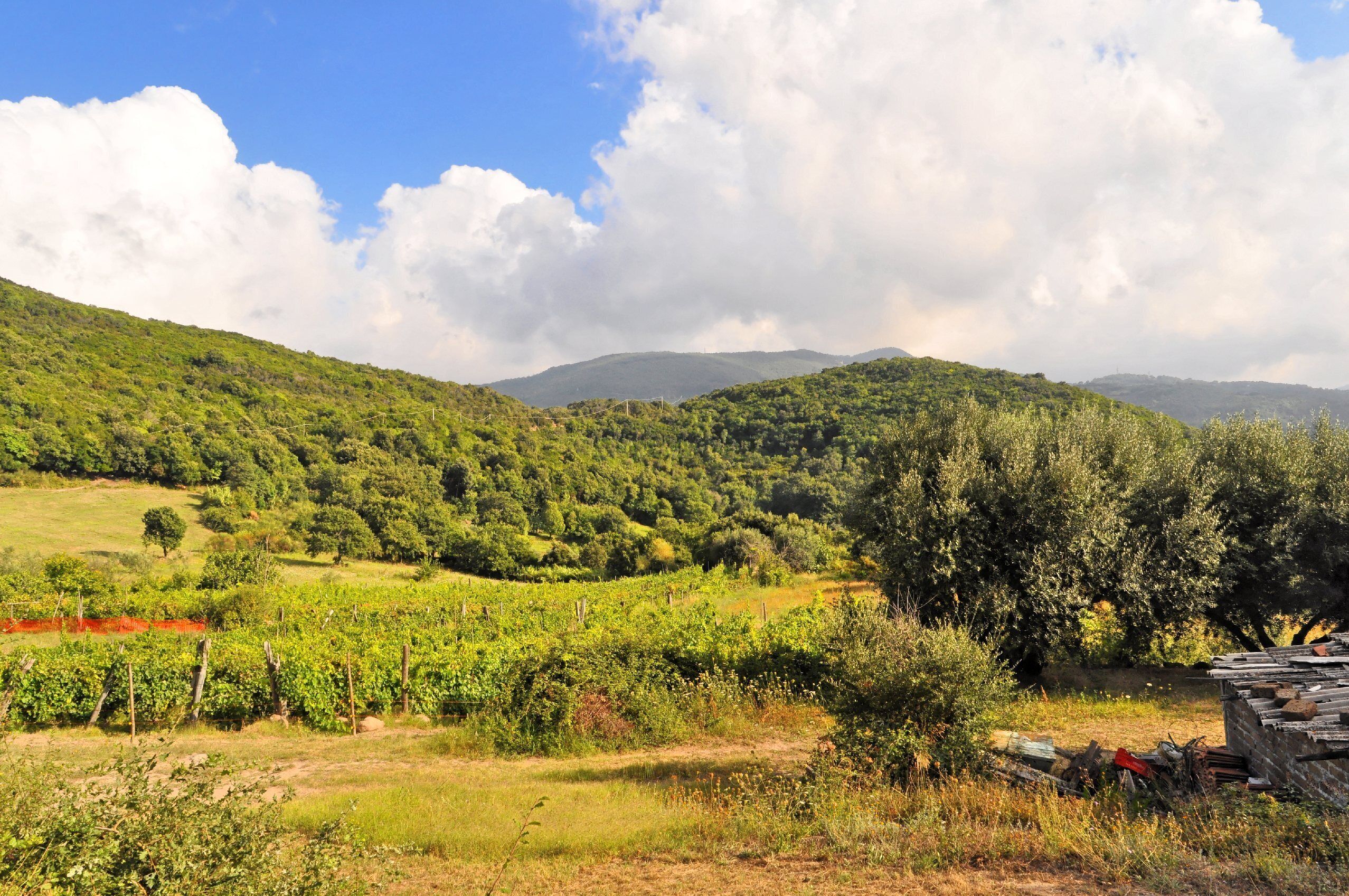 Bilder aus Italien 2015 es muss die Position noch bestimmt werden.