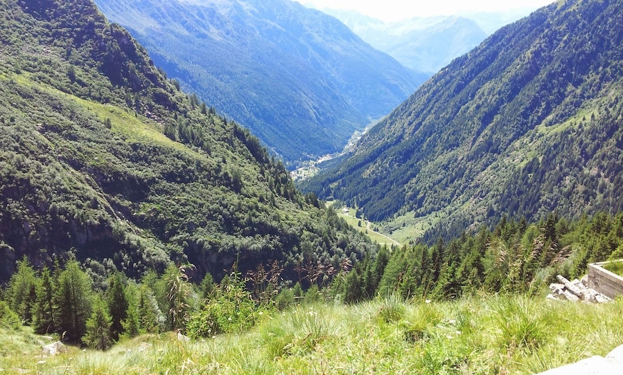 Une vallée bordée de forêts denses et de pentes montagneuses abruptes.