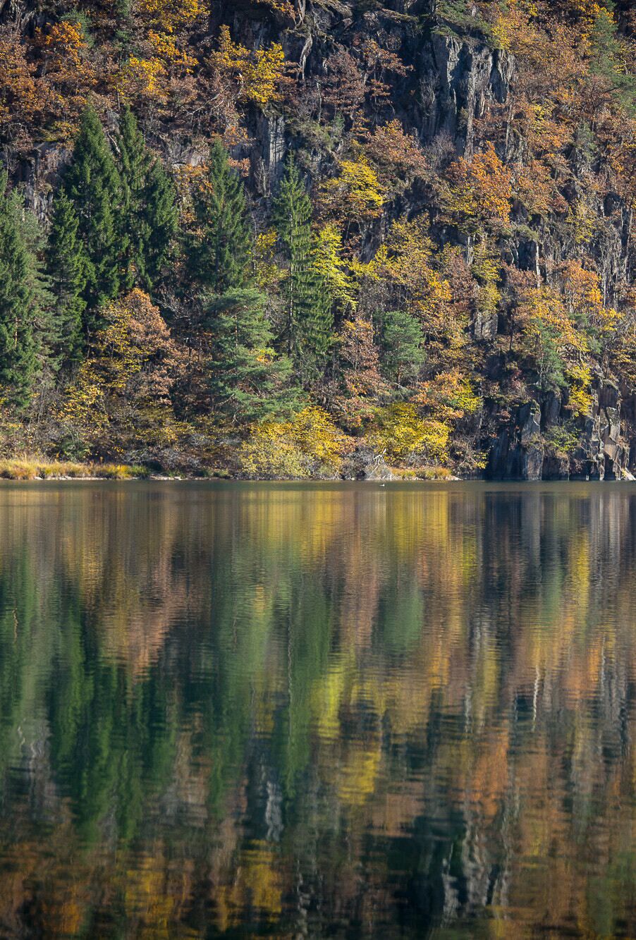A calm lake reflecting trees with autumn foliage.