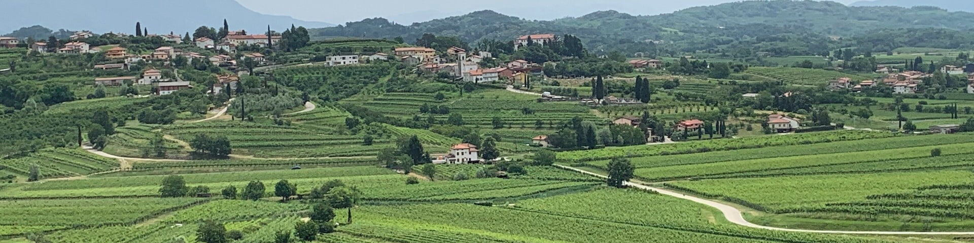Goriska Brda wine Region in Slovenia.
