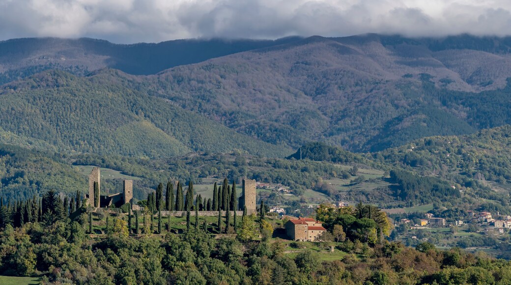Panoramic view of the ancient castle of Romena and surroundings, Arezzo, Italy