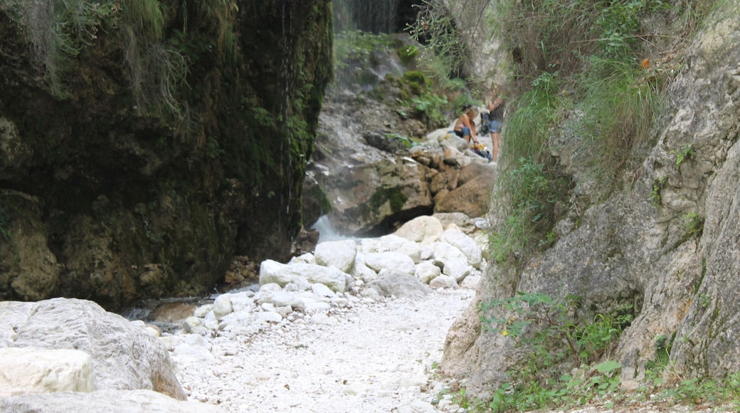 The authorisation for taking photos of this object was provided by the World Wide Fund for Nature Italy.