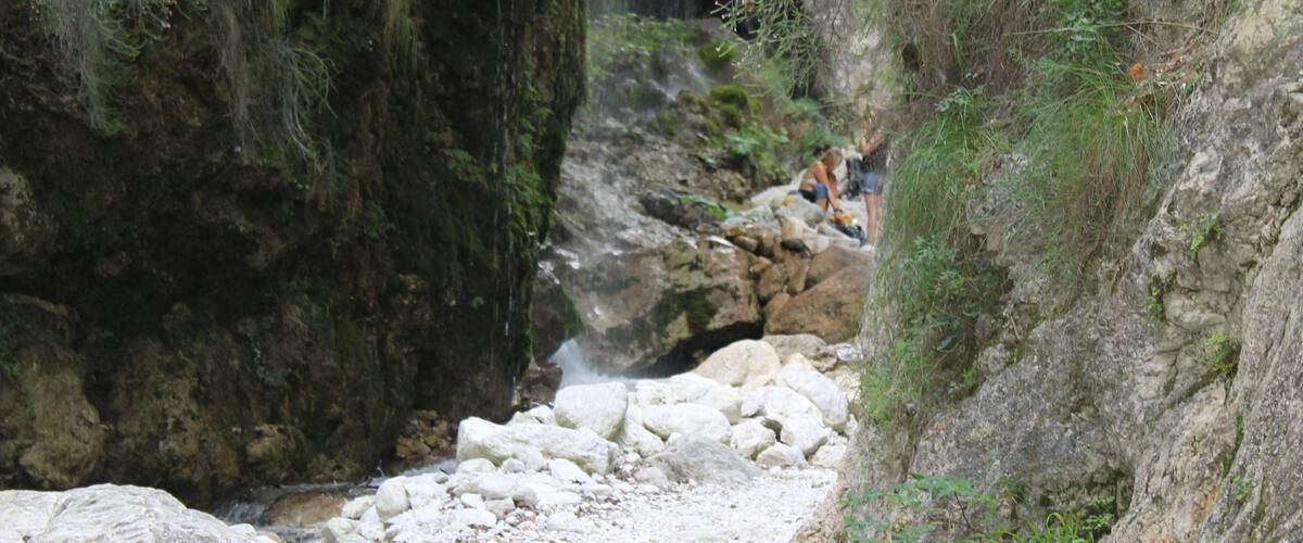 A rocky stream with a waterfall, surrounded by dense vegetation and large boulders.