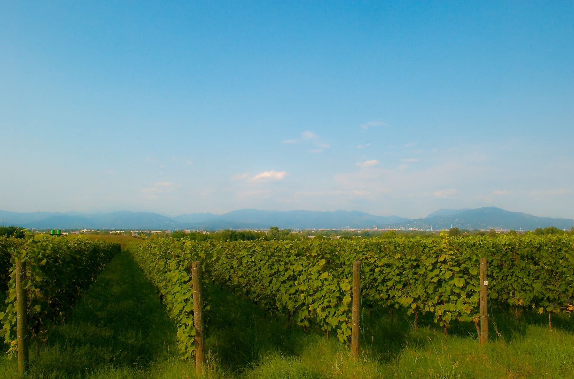 Monte Netto - Settembre 2010