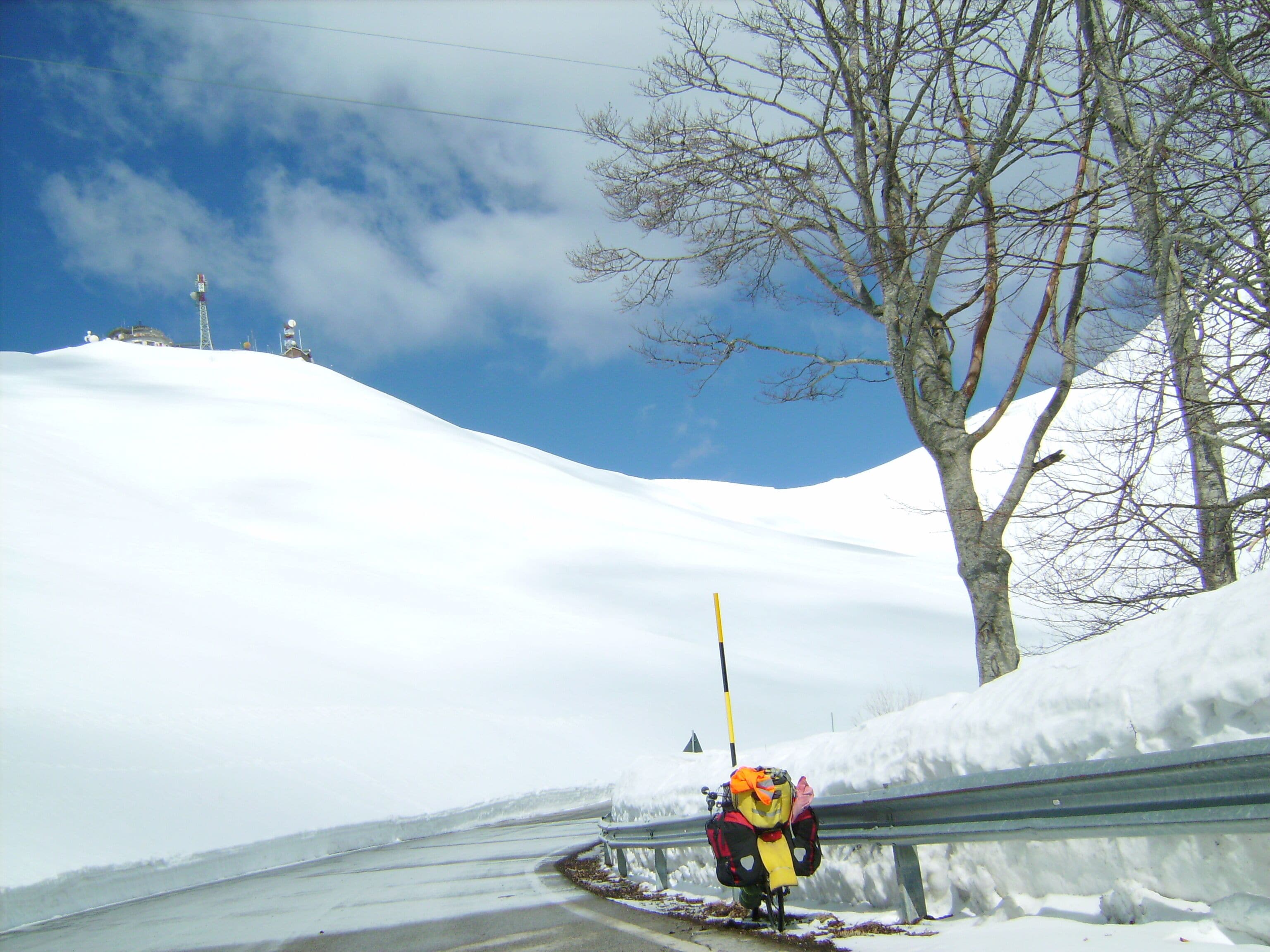 A snowy landscape with a road, a guardrail, and a tree.
