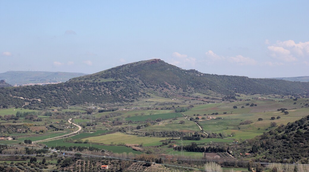 Ploaghe-Siligo, monte Ruiu