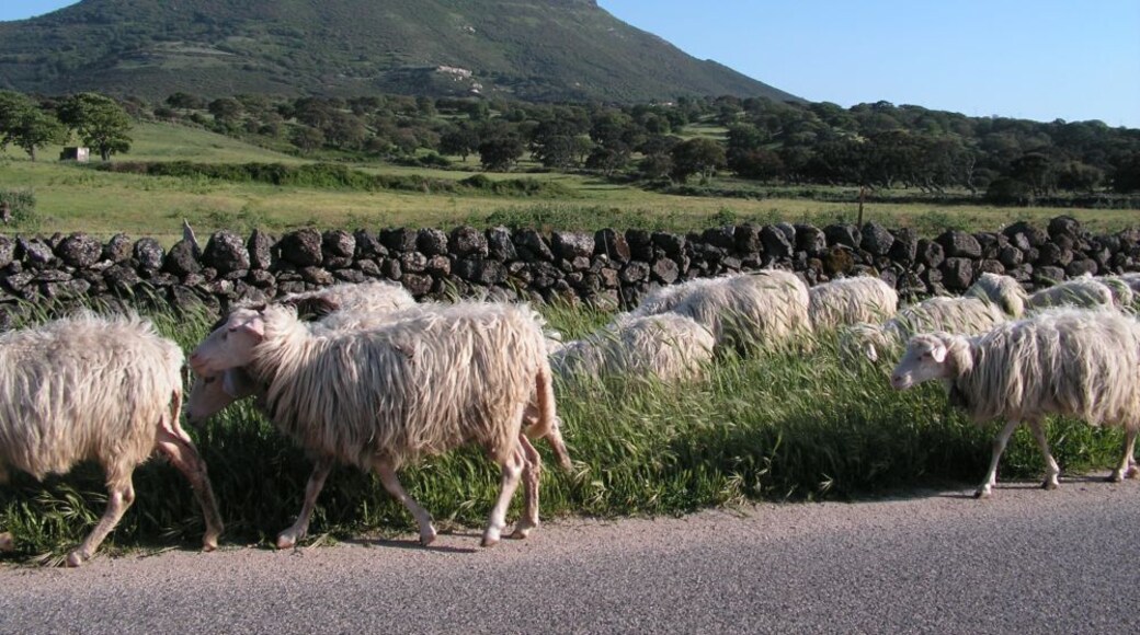 Monte Santo - Volcano