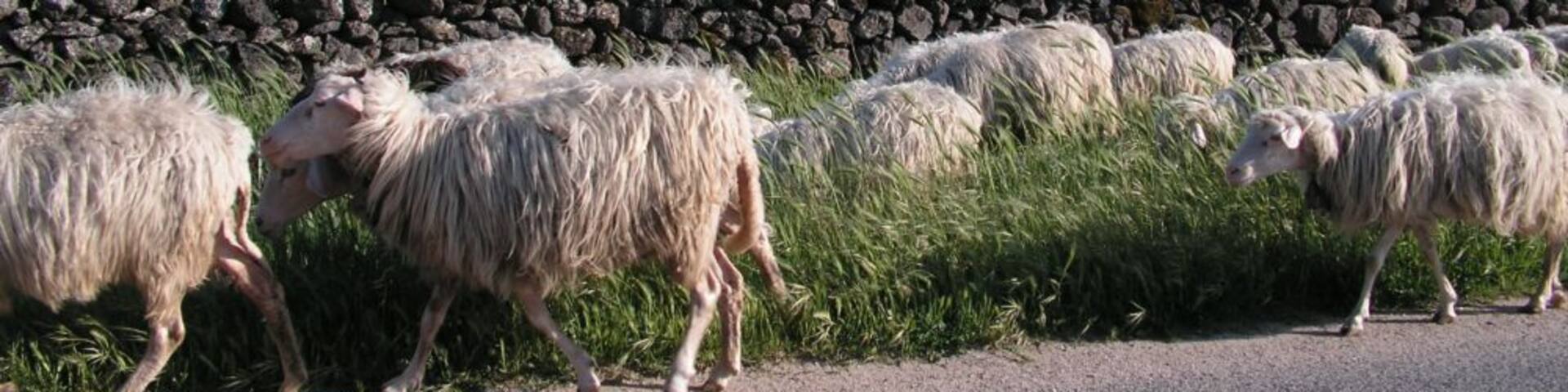 Monte Santo - Volcano