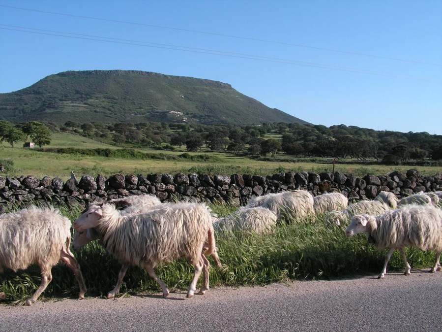 Monte Santo - Volcano