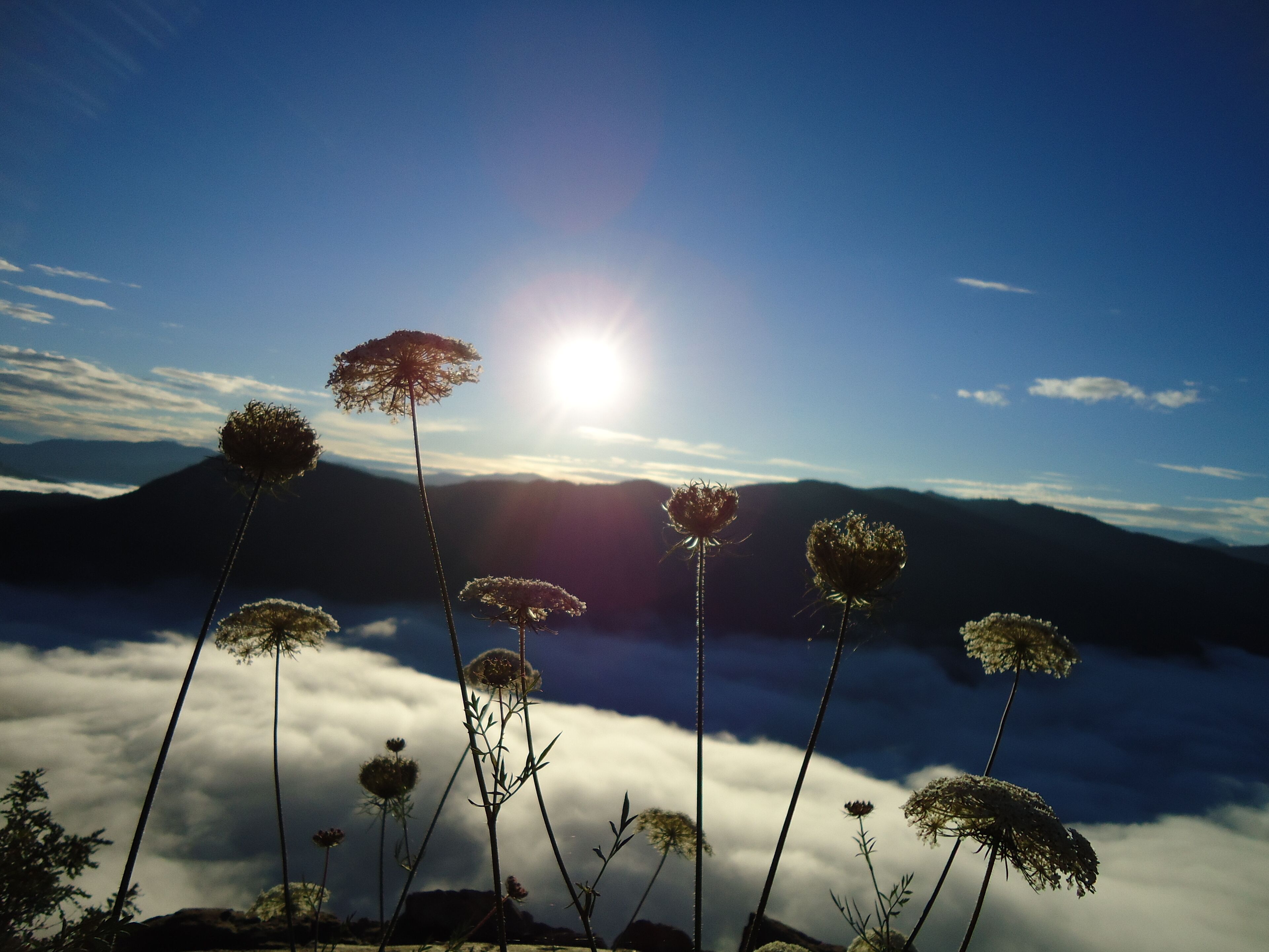 A mountain landscape with clouds below and sun shining through.