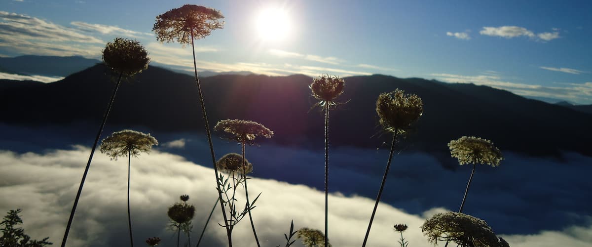 A mountain landscape with clouds below and sun shining through.