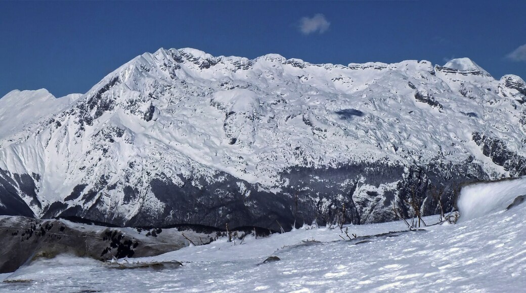 Monte Matajur (Q47510277)