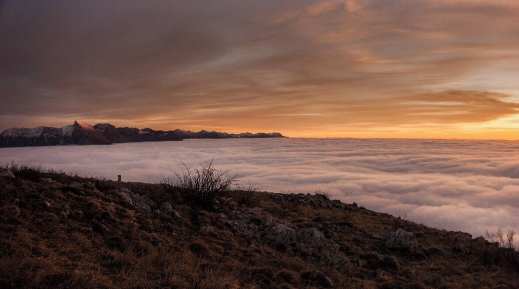 Monte Matajur (Q47510277)