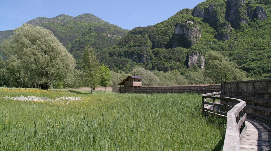 This is a photo of a monument which is part of cultural heritage of Italy. This monument participates in the contest Wiki Loves Monuments Italia 2016. See authorisations.