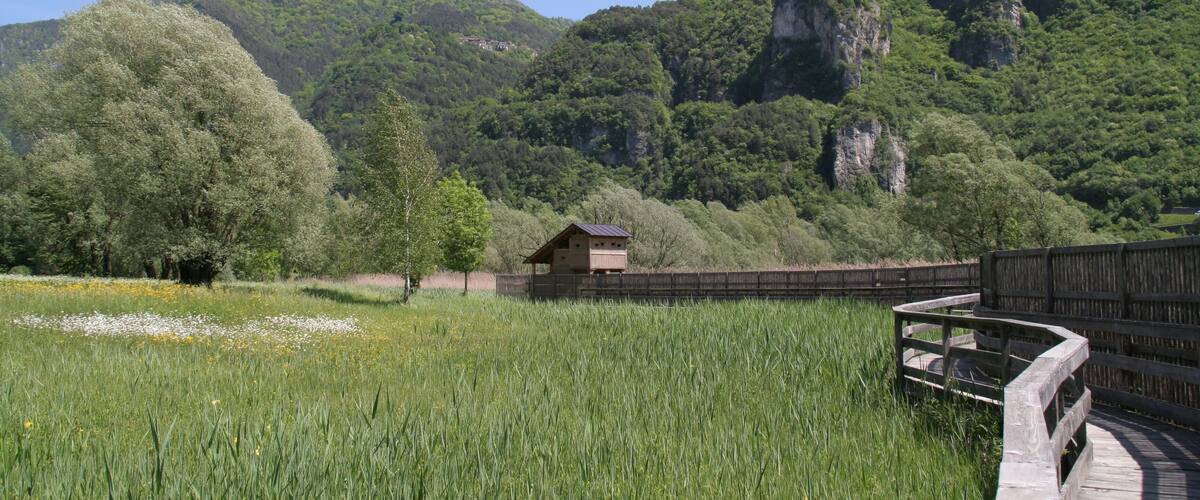 This is a photo of a monument which is part of cultural heritage of Italy. This monument participates in the contest Wiki Loves Monuments Italia 2016. See authorisations.
