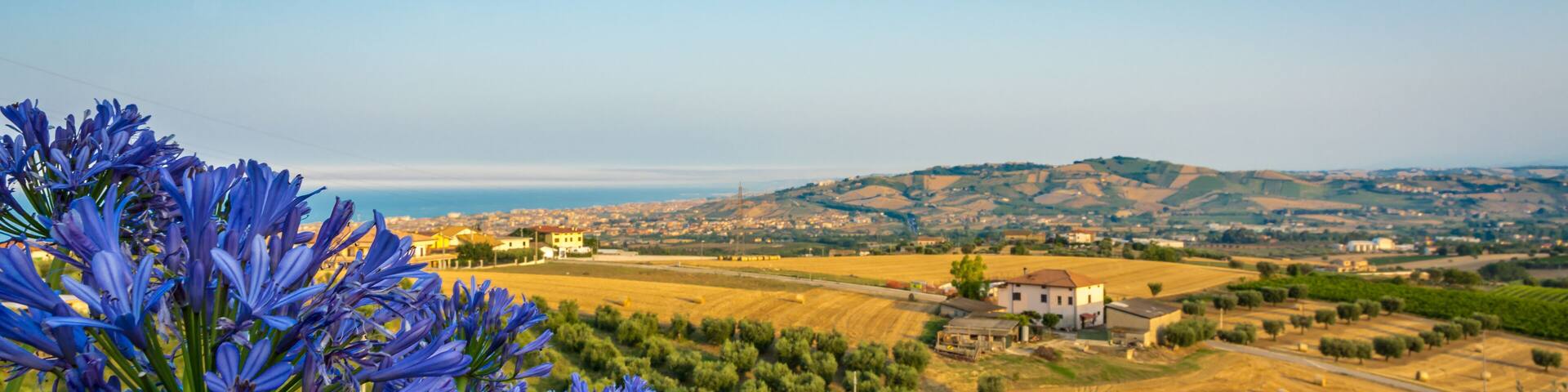 rural landscape in the Marche region in Italy near Fermo. Summer landscape