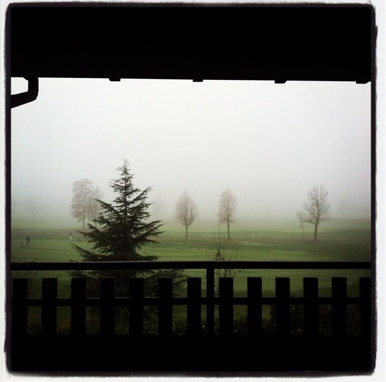 A foggy landscape with a wooden fence, a large evergreen tree, and several leafless trees.
