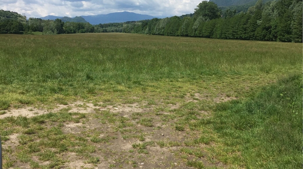 Posto chill di cuvio