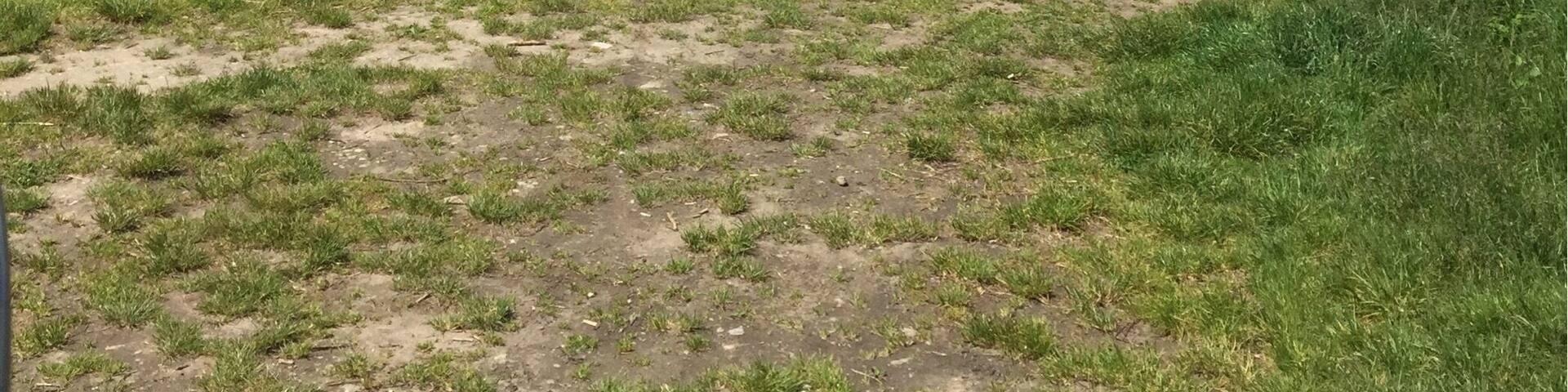 Posto chill di cuvio