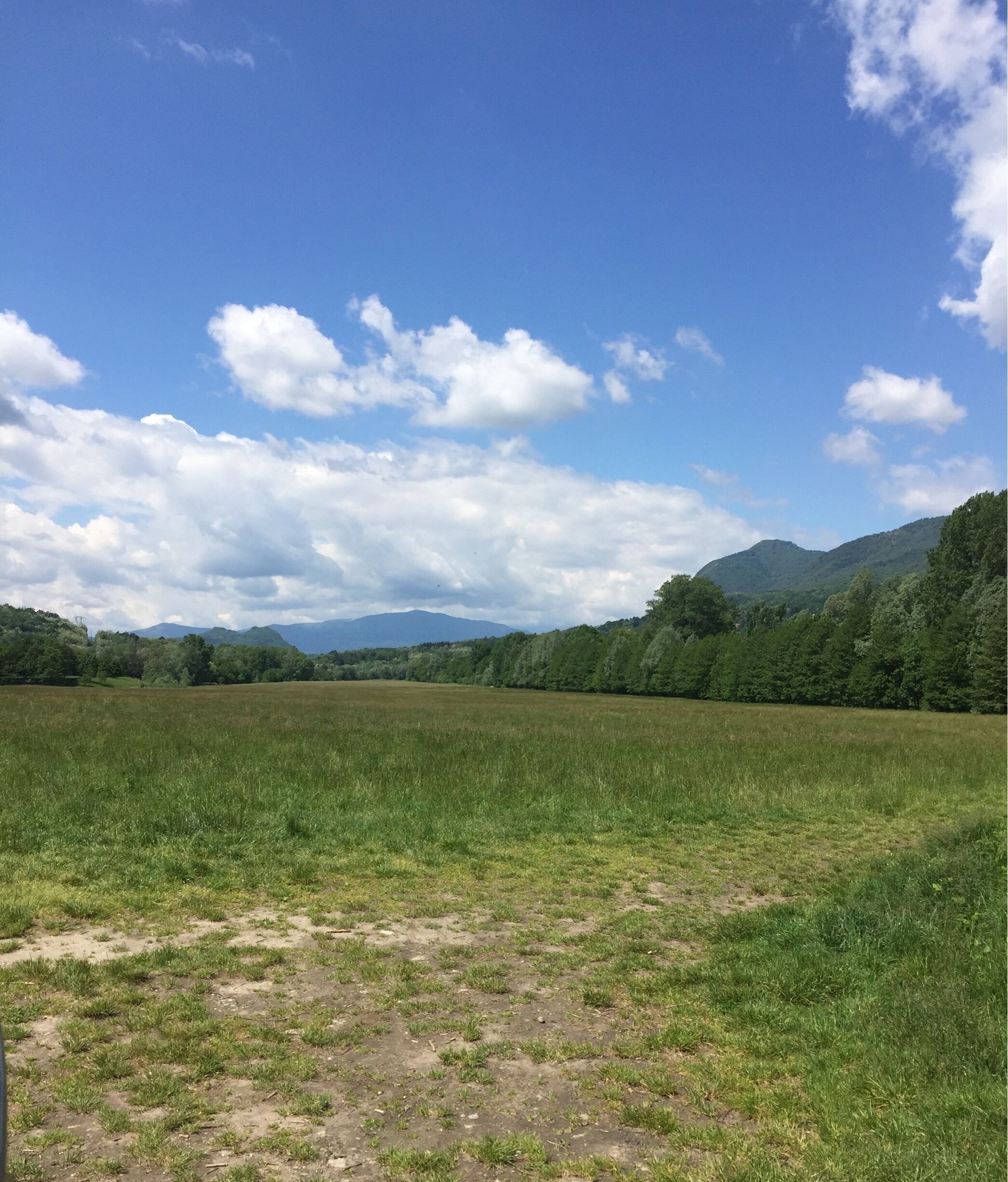 A grassy field with a mountain range in the background under a partly cloudy sky.