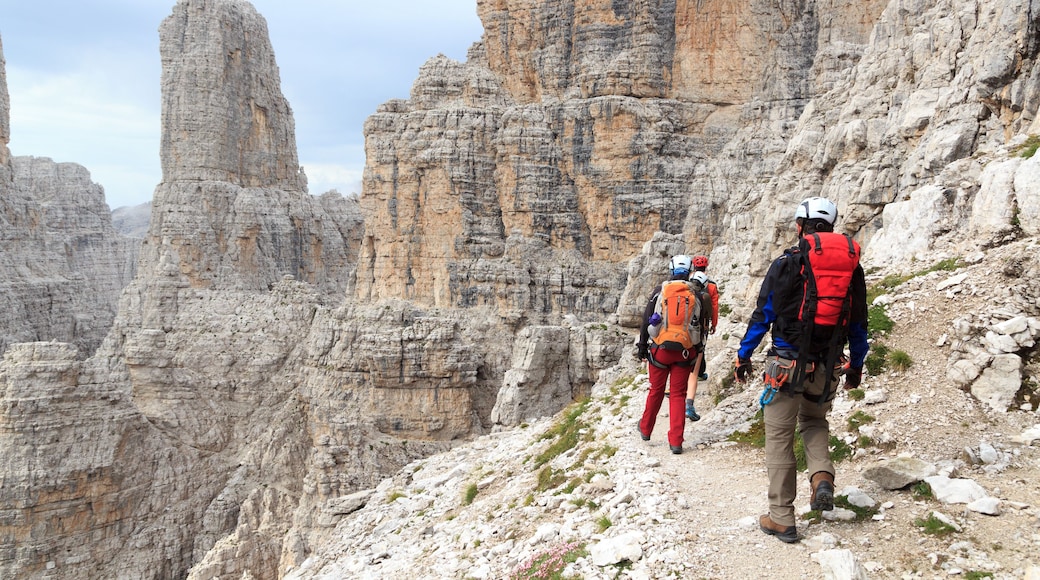 Un sendero pedregoso en la montaña con excursionistas.