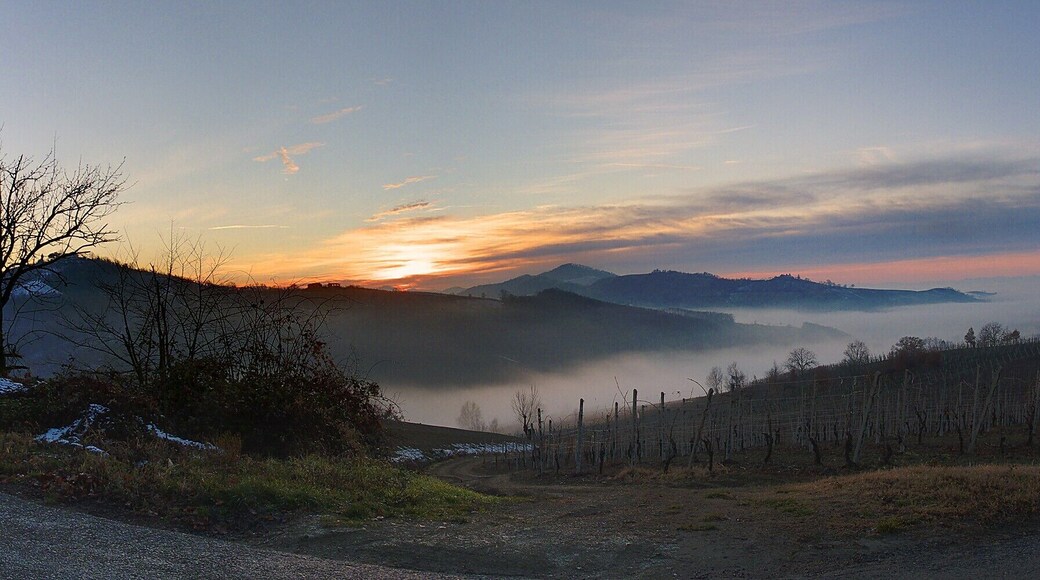 Lingua di nebbia si allunga verso Montalto