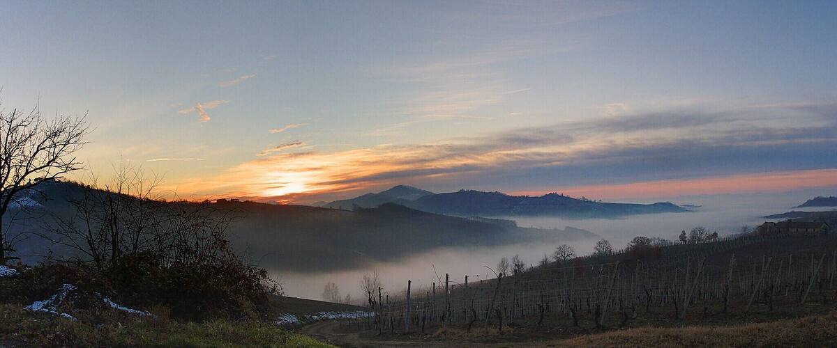 A sunrise over a mountainous landscape with vineyards.
