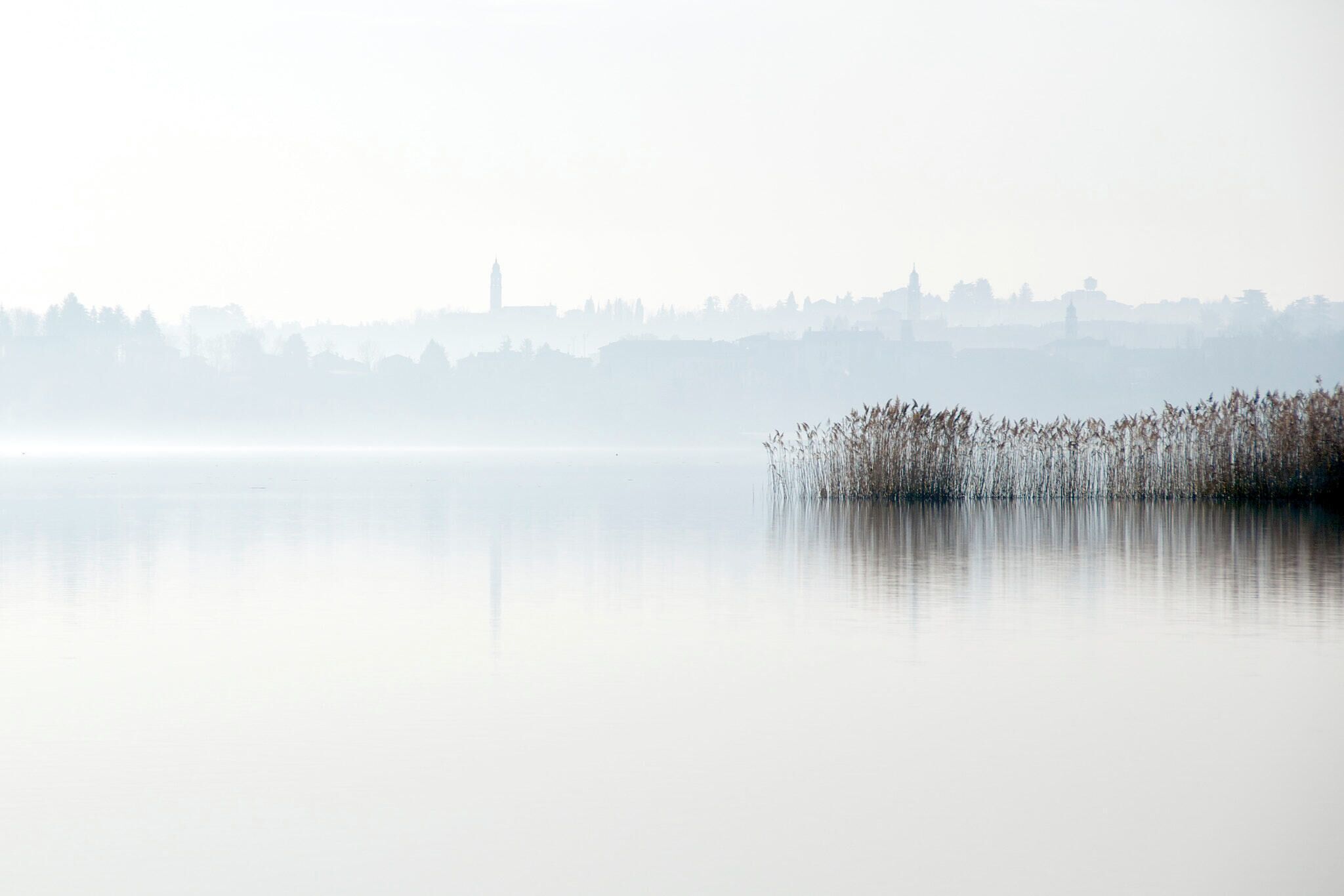 A calm lake with a distant city skyline and a prominent tower.