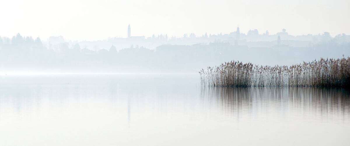 A calm lake with a distant city skyline and a prominent tower.