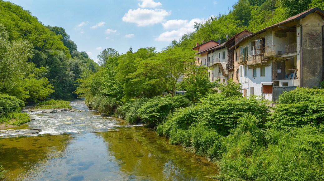 Old 18th century mill on the bank of the Olona river, now disused, known as Mulino del Celeste, near Gornate Superiore, a hamlet of Castiglione Olona, Italy. It had oil presses and a grain grind