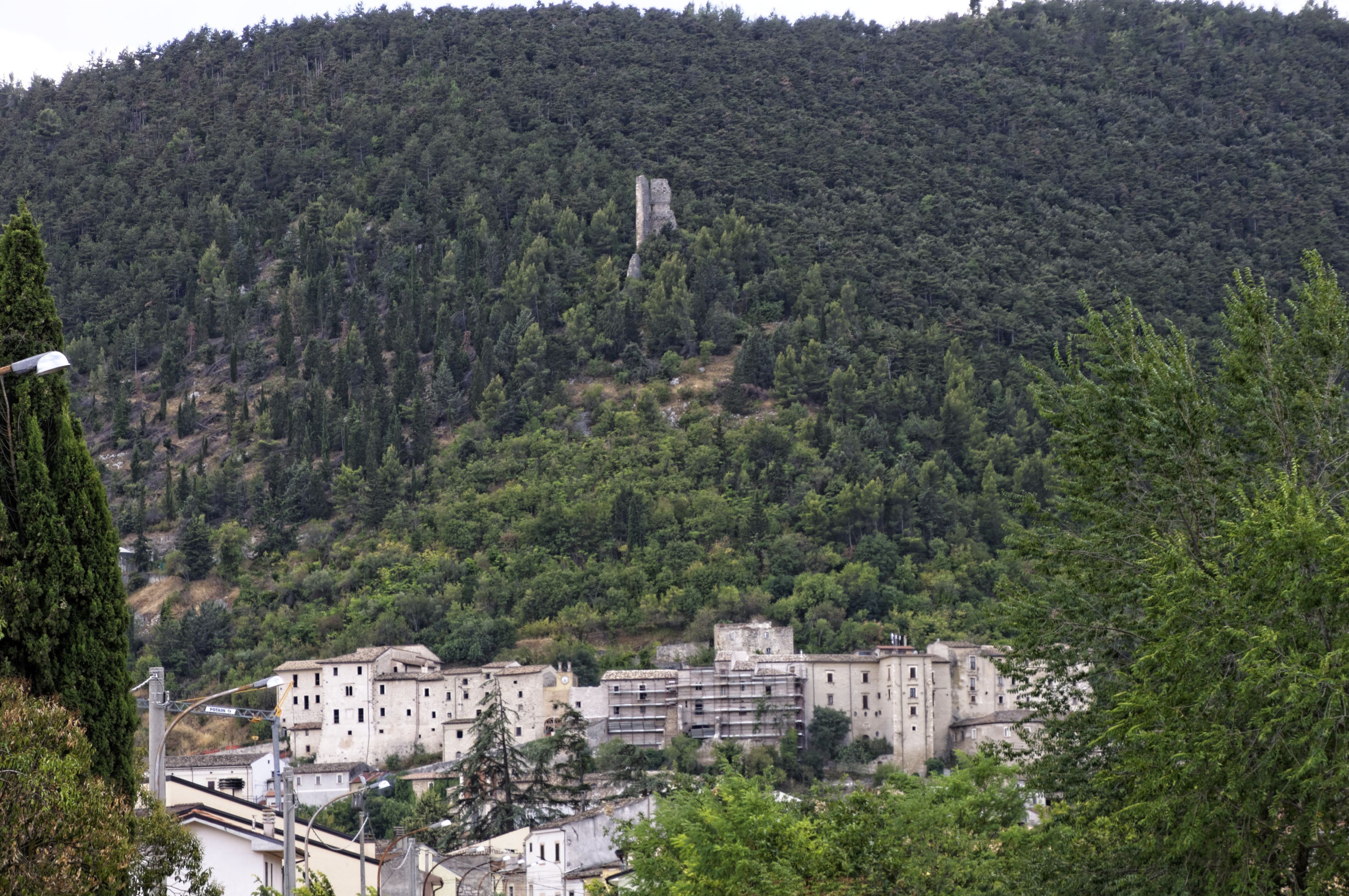 A mountainous landscape with a dense forest, a stone tower, and a cluster of buildings at the base.
