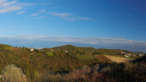 Panorama di Nebbiolo