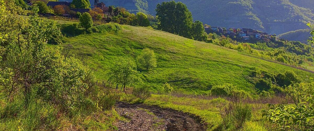 Sant'Antonino e Trebbio