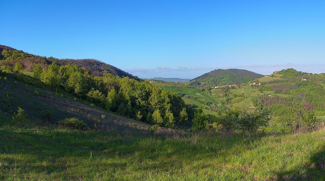 Vista verso Murisasco