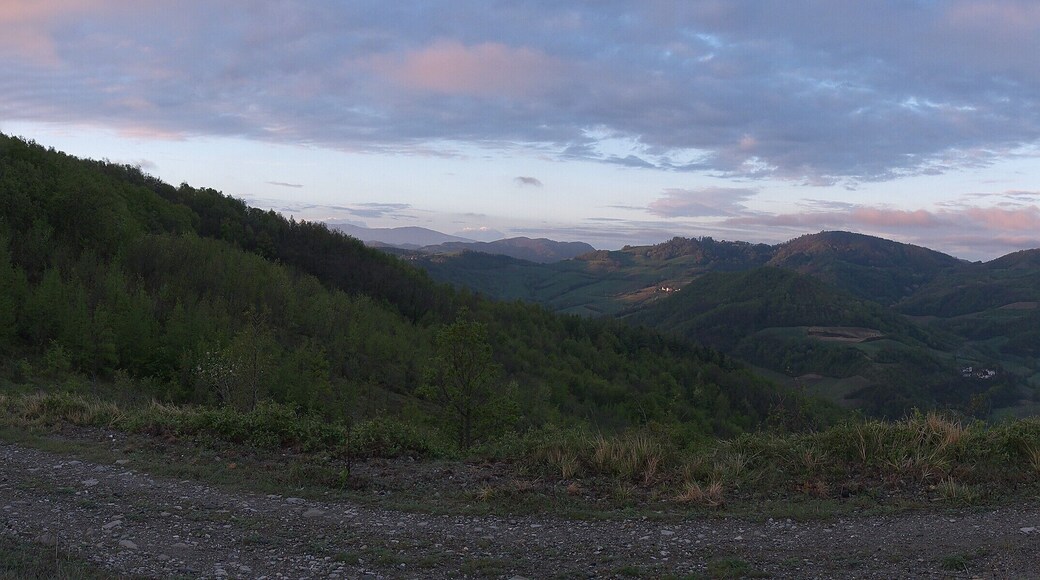 Colline della Val Schizzola