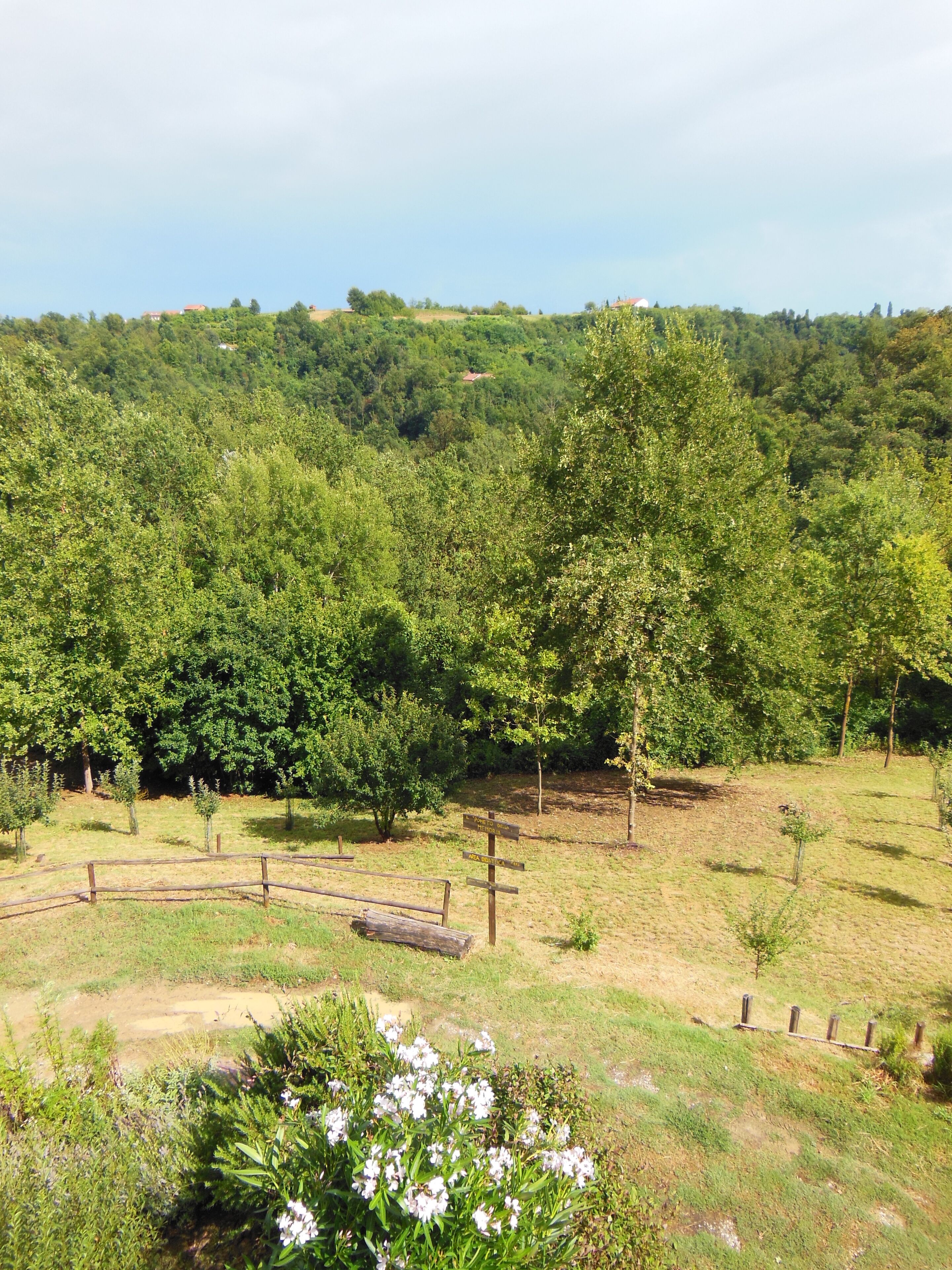 A rural landscape with a dirt path, wooden fence, and scattered trees.