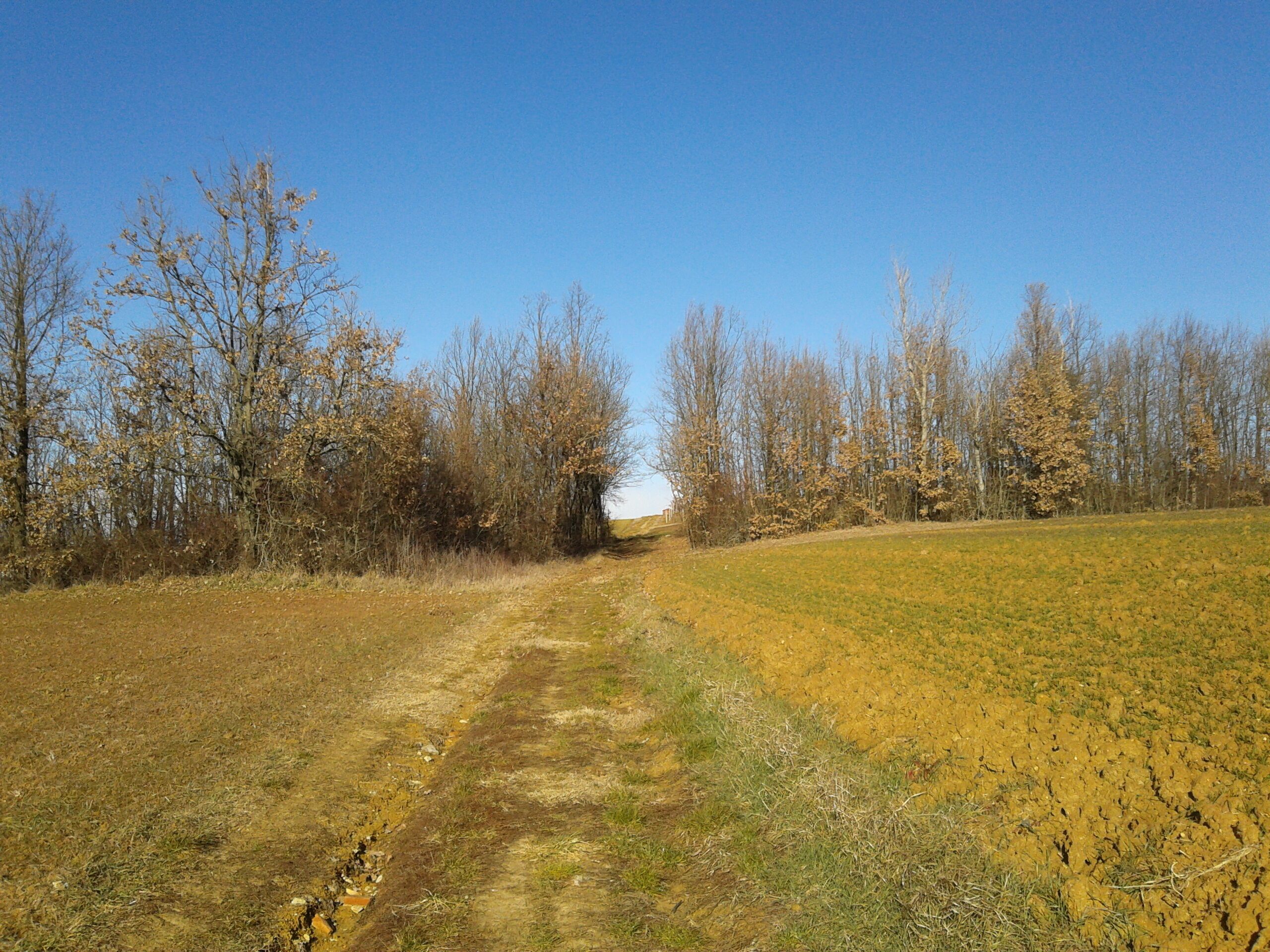 10020 Moriondo Torinese, Metropolitan City of Turin, Italy