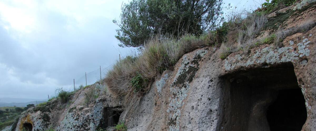 A rocky landscape with a cave entrance and sparse vegetation.