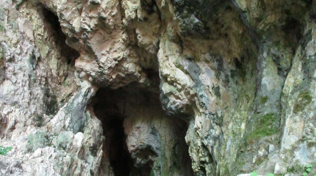 Ingresso della grotta La Punta