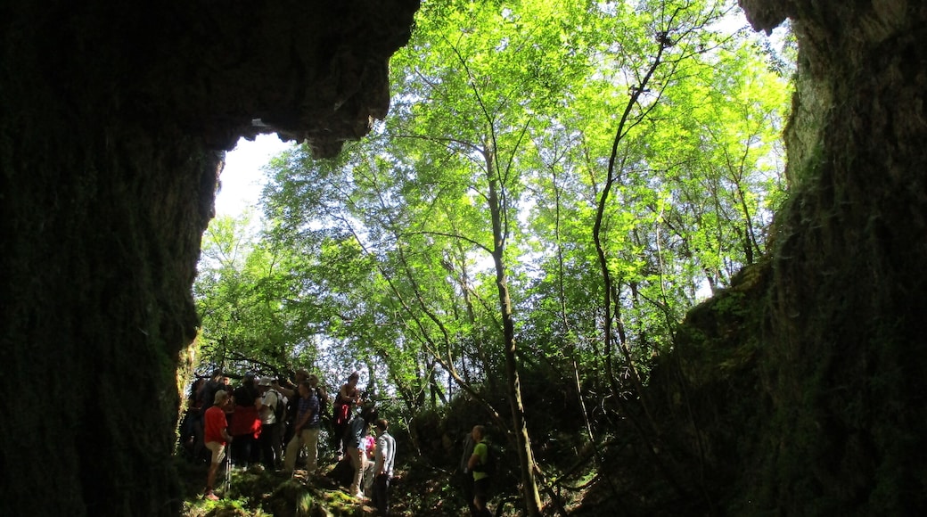 Ingresso della grotta La Punta