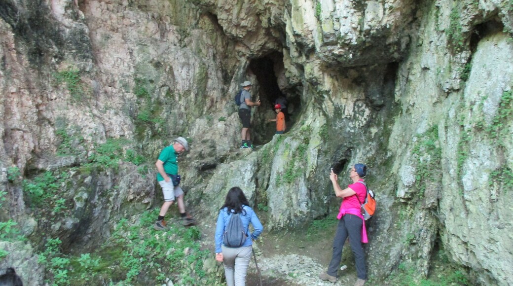 Visita guidata in grotta