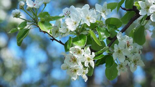 Spring is coming 🌼