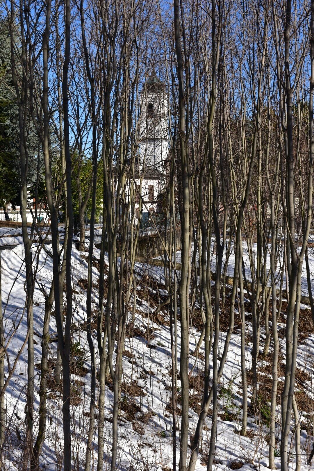 Cristmas in the snow ..... 🎄