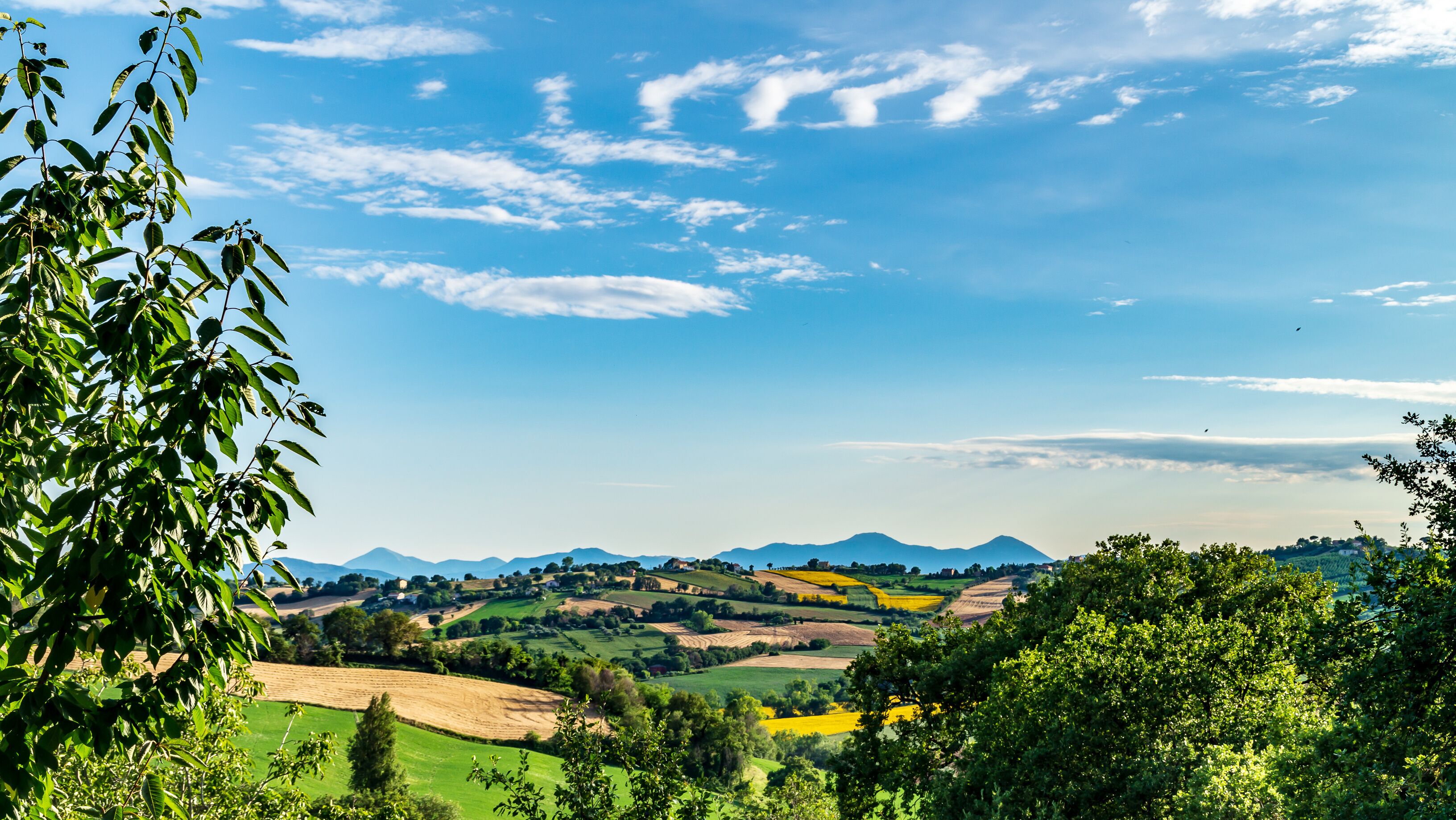 Paesaggio marchigiano in estate