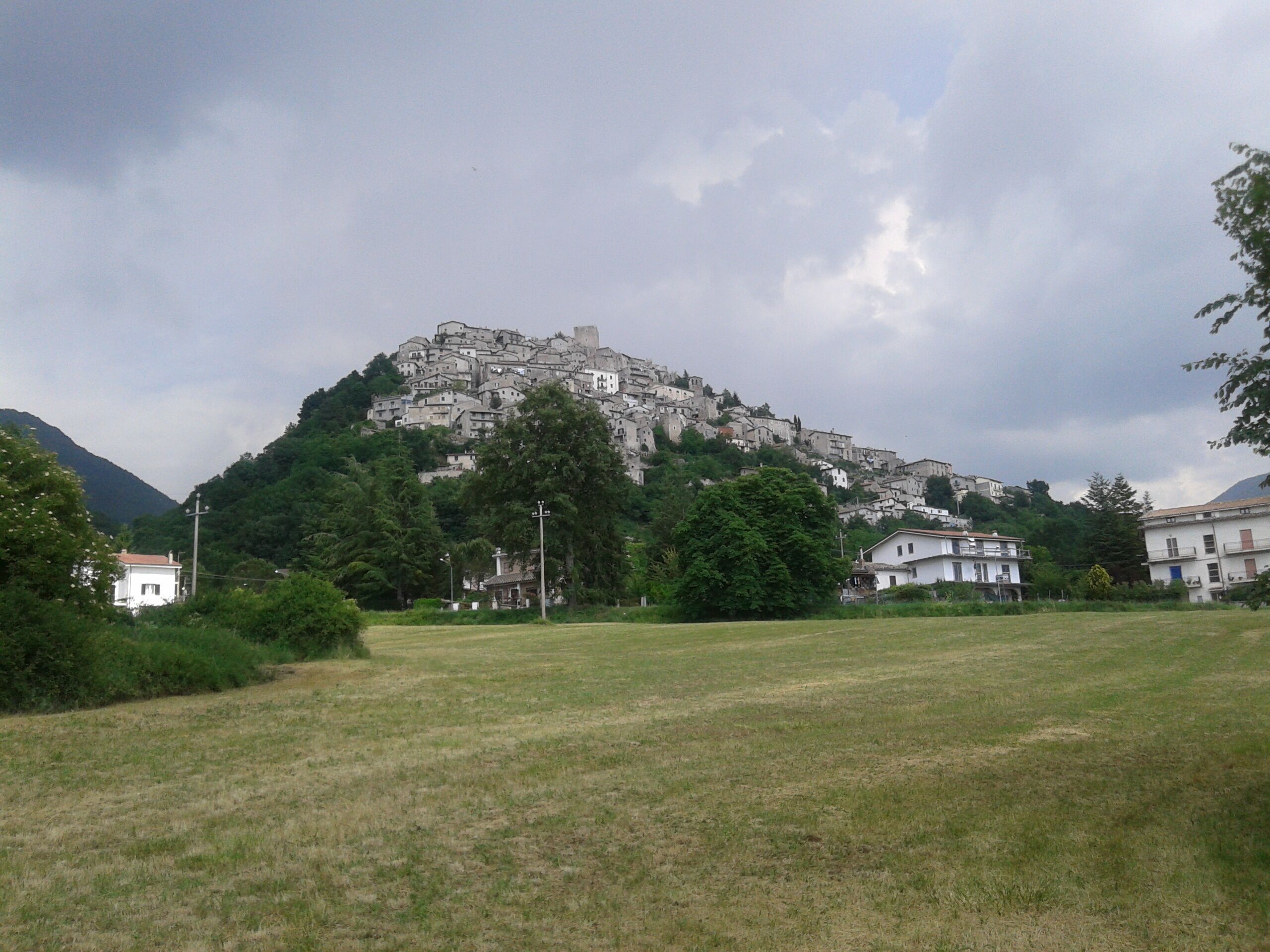 A grassy field with a hill in the background covered with buildings.